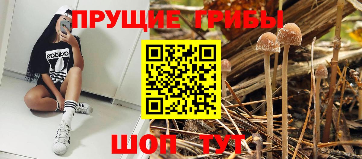 Cocaine  COCAIN  Как найти наркотики?  Лсд 25  Абинск  ГАШИШ  Бошки Шишки  Вход с VPN  Меф МЯУ МЯУ кристаллы  Вейп ТГК 