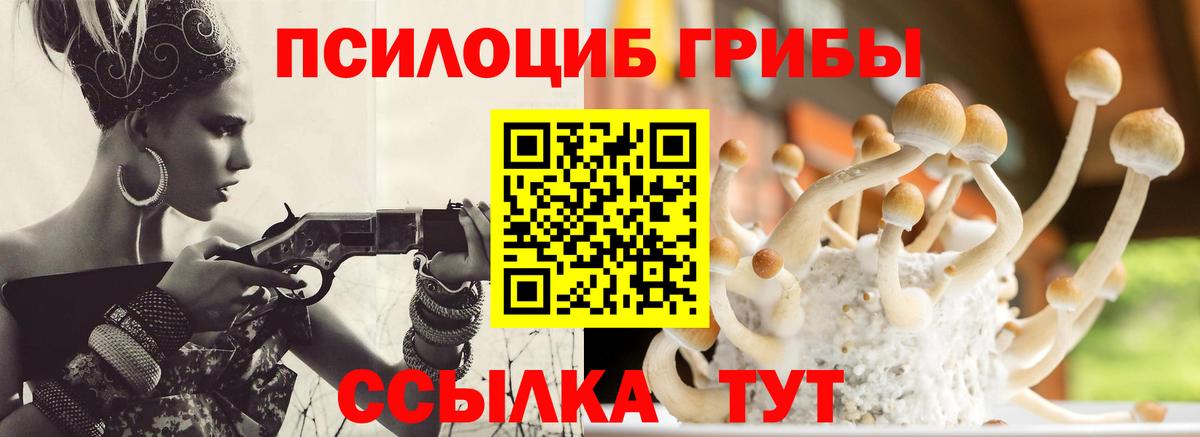 Абинск  Галлюциногенные грибы прущие грибы  хочу наркоту  Вход с VPN 
