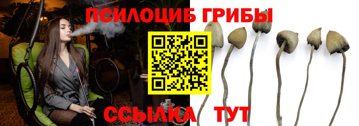 Псилоцибиновые грибы GOLDEN TEACHER Абинск