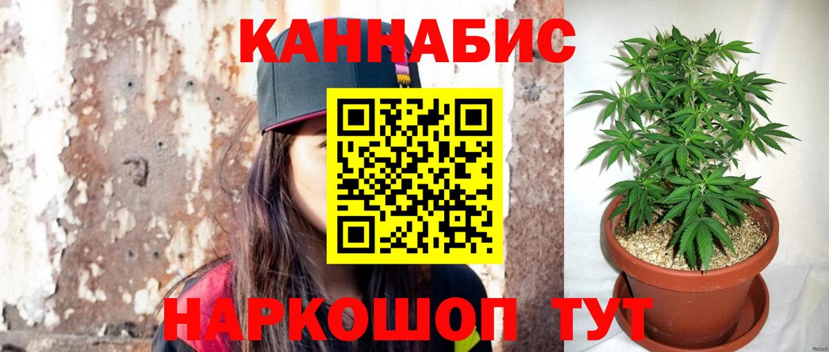 Абинск  Бошки Шишки сатива  МАРИХУАНА планчик  Вход с VPN  Каннабис планчик 